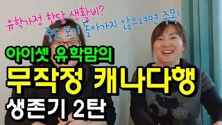 아이셋 유학맘의 무작정 캐나다 생존기 2탄 / 아이셋 유학가정의 한달 생활비? 중도포기 돌아가지 않으려면?