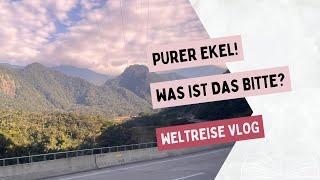 Viele Gefühle: Von richtig angeekelt, bis hin zu voller Vorfreude! | Weltreise Vlog Woche 26