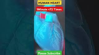 #Human_heart #viral_shorts #Short #viral। 3d_human_heart  3d_animation