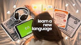 how to learn a new language on your own! (a guide) ⭑