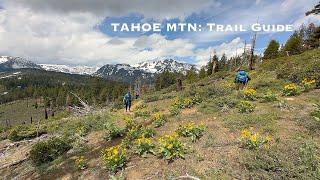 South Lake Tahoe Trail guide: Tahoe Mountain