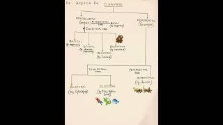 Types of cleavage #cleavage types #developmental_biology