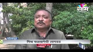 Ashok Kalyani's zero budget natural farming fruit garden success story