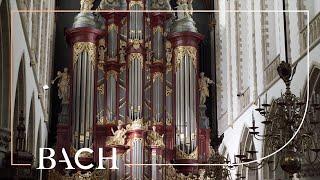 Bach - Kommst du nun, Jesu, vom Himmel herunter BWV 650 - Jacobs | Netherlands Bach Society