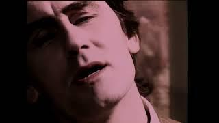 Robert Forster - Baby Stones HD