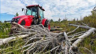 I BRUSH HOGGED an Overgrown Field for FREE! It ends in a VERY EXPENSIVE REPAIR!