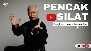 Parrying in Pencak Silat | learn Pencak Silat #pencaksilat #indonesianmartialarts