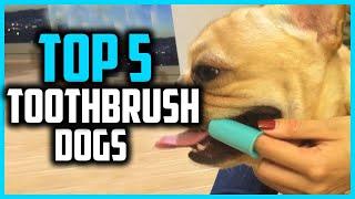 Top 5 Best Toothbrush For Dogs in 2024