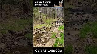 40+ acres with OWNER FINANCING in the Ozarks - Creeks, Timber, and Deer! JJ02 #shorts off grid land