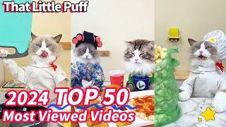 Top 50 Most Viewed Videos 2024 | That Little Puff