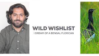 Wild Wishlist: Shashank Birla Dreams of a Bengal Florican