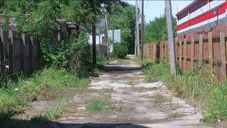 Toledo neighborhood alleyway cleaned up after overgrown with weeds