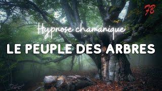 Hypnose Chamanique - Le peuple des arbres