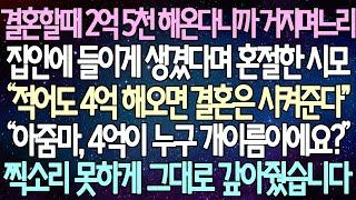 (반전 사연) 결혼할때 2억 5천 해온다니까 거지 며느리 집안에 들이게 생겼다며 혼절한 시모 “아줌마, 4억이 누구 개이름이에요?” 찍소리 못하게 그대로 갚아주는데 /사이다사연