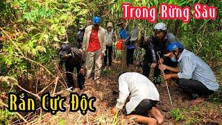 Rừng Già Này Rắn Độc Cực Nhiều | Mười Thương SB