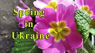 Spring in Ukraine