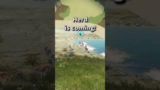 New Funny Hunting StyleTRAPPER  Fallow Deer Grind on Te Awaroa the Hunter Call of the Wild