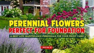 10 BEST LOW-MAINTENANCE PERENNIALS for Your Front Yard!  // Gardening Ideas