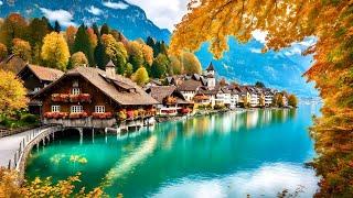 Peaceful Autumn Walk In Swiss Town Interlaken Switzerland 