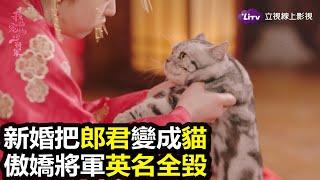 《我的寵物少將軍》我最喜歡的，就是你變貓咪的樣子！｜LiTV 線上看