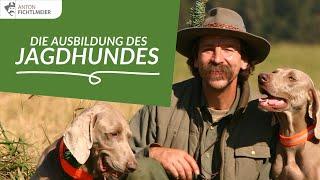 Ausbildung des Jagdhundes | Anton Fichtlmeier