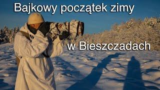 Bajkowy początek zimy w Bieszczadach. Z życia Bieszczadników. Z życia fotografów przyrody.