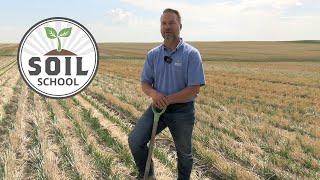 Soil School: Enhancing soil structure through controlled traffic farming