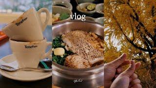 FALL VLOG  | 3 Korean Pot Rice Recipes & More