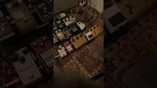 Warm Audio Centavo Vs Real Klon Centaur