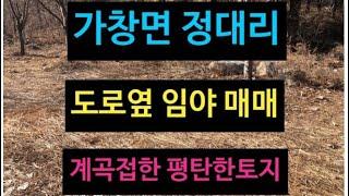 대구 달성군 가창면 토지 매매! 624평 도로옆 임야! 계곡 포함 ! 과수원이나 밭경작 용도로 추천!