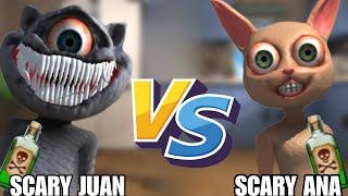 Scary Juan vs Scary Ana | Talking Juan vs Scary Ana | Talking Juan Update