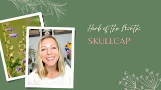 Herb of the Month: Skullcap