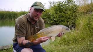 Carp on the pole - simple freelined pellet fishing tactics