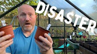 Why Are My Tomatoes Dying | Tomato Problems | Mark's Allotment Plot