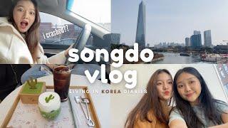 songdo vlog: driving in korea, central park, shopping | Living in Korea Diaries|