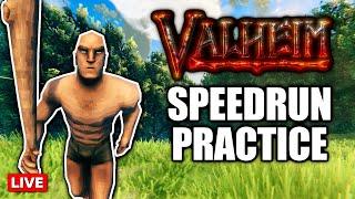 NEW STRATS? - Valheim Speedrun Practice And Strat Hunting