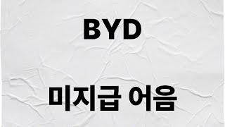 BYD 미지급 어음 76조