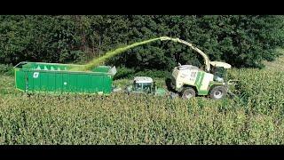 Maishäckseln LU Biggel mit Krone Big X1100 und 12-Reihen Maisgebiss, Claas, Fendt, Teil 8 2024 [4K]