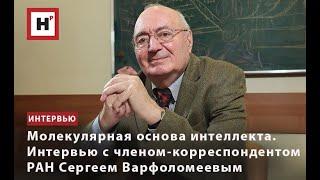 МОЛЕКУЛЯРНАЯ ОСНОВА ИНТЕЛЛЕКТА. ИНТЕРВЬЮ С ЧЛЕНОМ-КОРРЕСПОНДЕНТОМ РАН СЕРГЕЕМ ВАРФОЛОМЕЕВЫМ