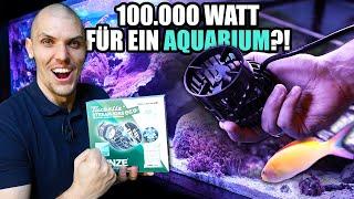 100.000 Watt verbraucht dieses Aquarium! - Felix Tunze auf Mission