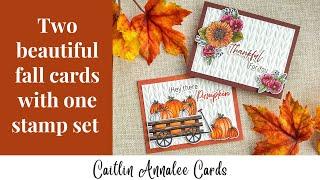 Making Two Beautiful Fall Cards with One Stamp Set | Copic Coloring, Picket Fence Studios