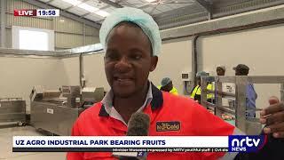 UZ Agro-Industrial Park Bearing Fruits