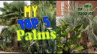 My TOP 5 Fav Palms in My Garden!