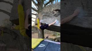 My Hardest Boulder Flash of 2024! #bouldering