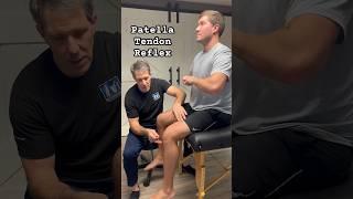 Patella Tendon Reflex - Demonstration #physicaltherapy