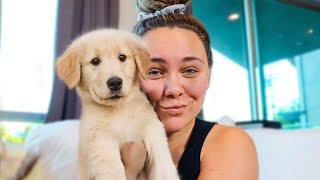 SURPRISING GIRLFRIEND WITH PUPPY!!