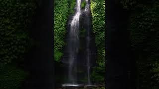 Waterfall | Forest | Relaxation | Meditation