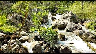 Musique Relaxante #2  Paysages, montagnes, lac et forêt