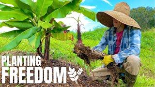 WE'RE PLANTING FREEDOM! | SDA COUNTRY LIVING | GOD RELIANCE