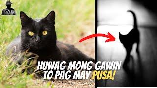 PINAKA SIKAT NA MGA PAMAHIIN SA PUSA  | Hiwaga